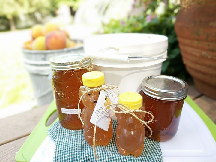 11 lbs. Northern Utah Raw Honey